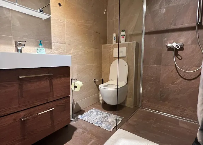 Aura's Serenity Apartmán Vídeň